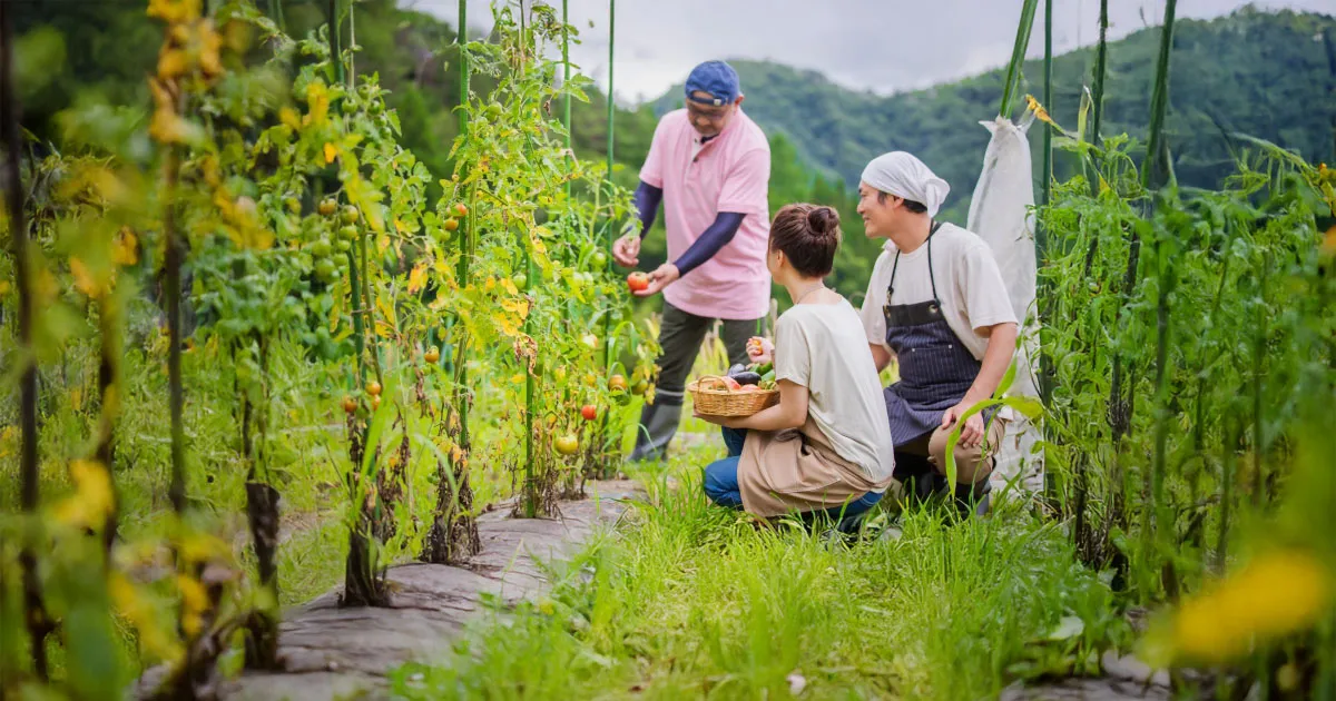 ふるさと納税レア自治体